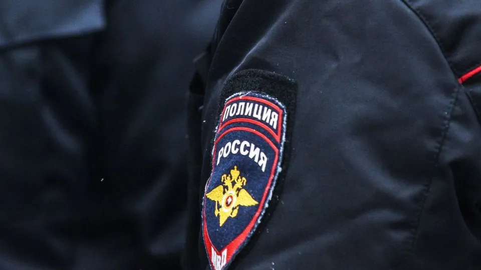 Фото: Медиаархив Подмосковья