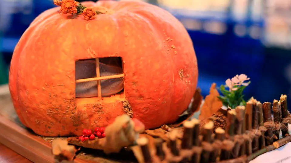 Фото: пресс-служба администрации г.о. Королев