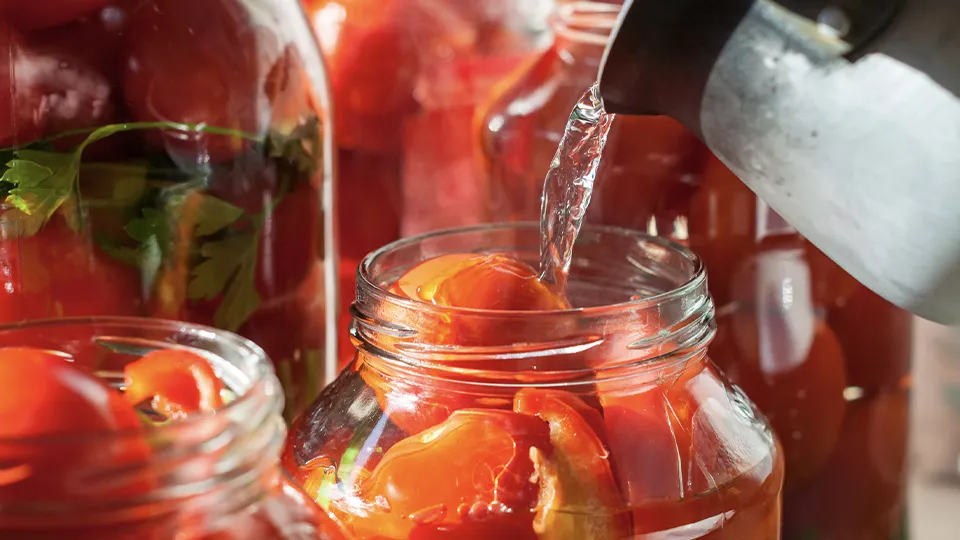 Фото: istockphoto.com/Bychykhin_Olexandr