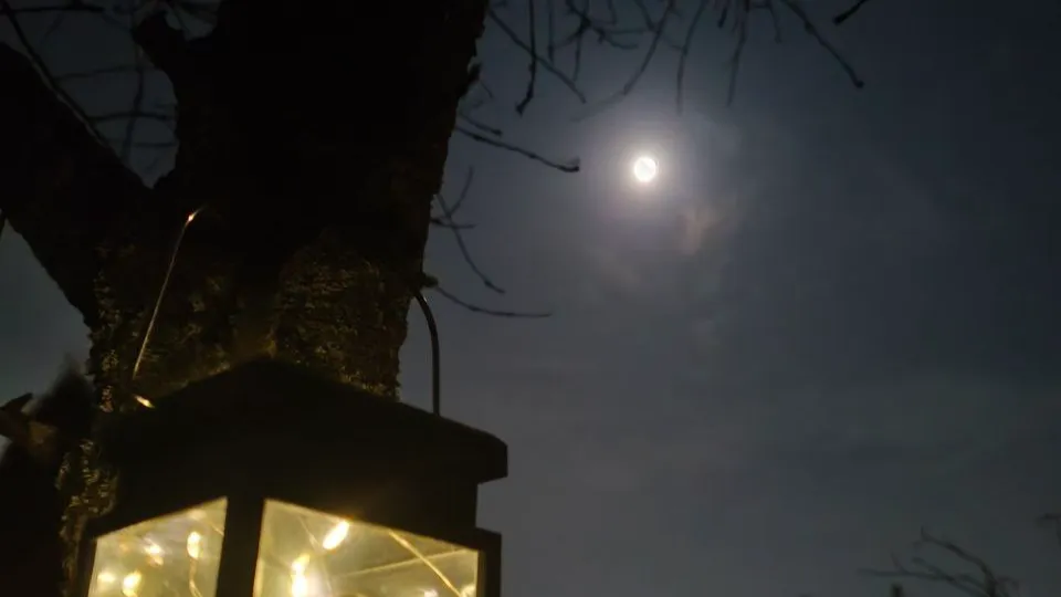 Фото: REGIONS/Елена Шахиджанова