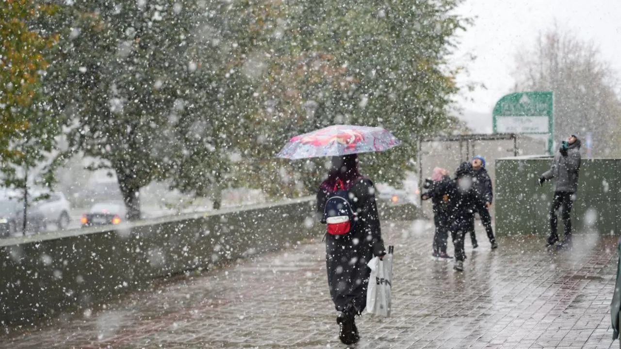 Дмитрий Зайчиков