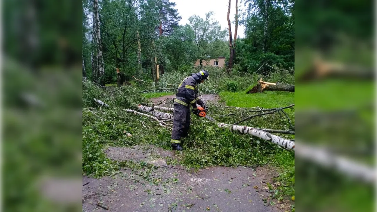 Фото: ГКУ МО «Мособлпожспас»