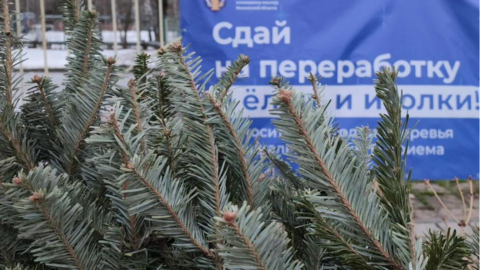 Фото: МедиаБанк Подмосковья/Юлия Смагринская