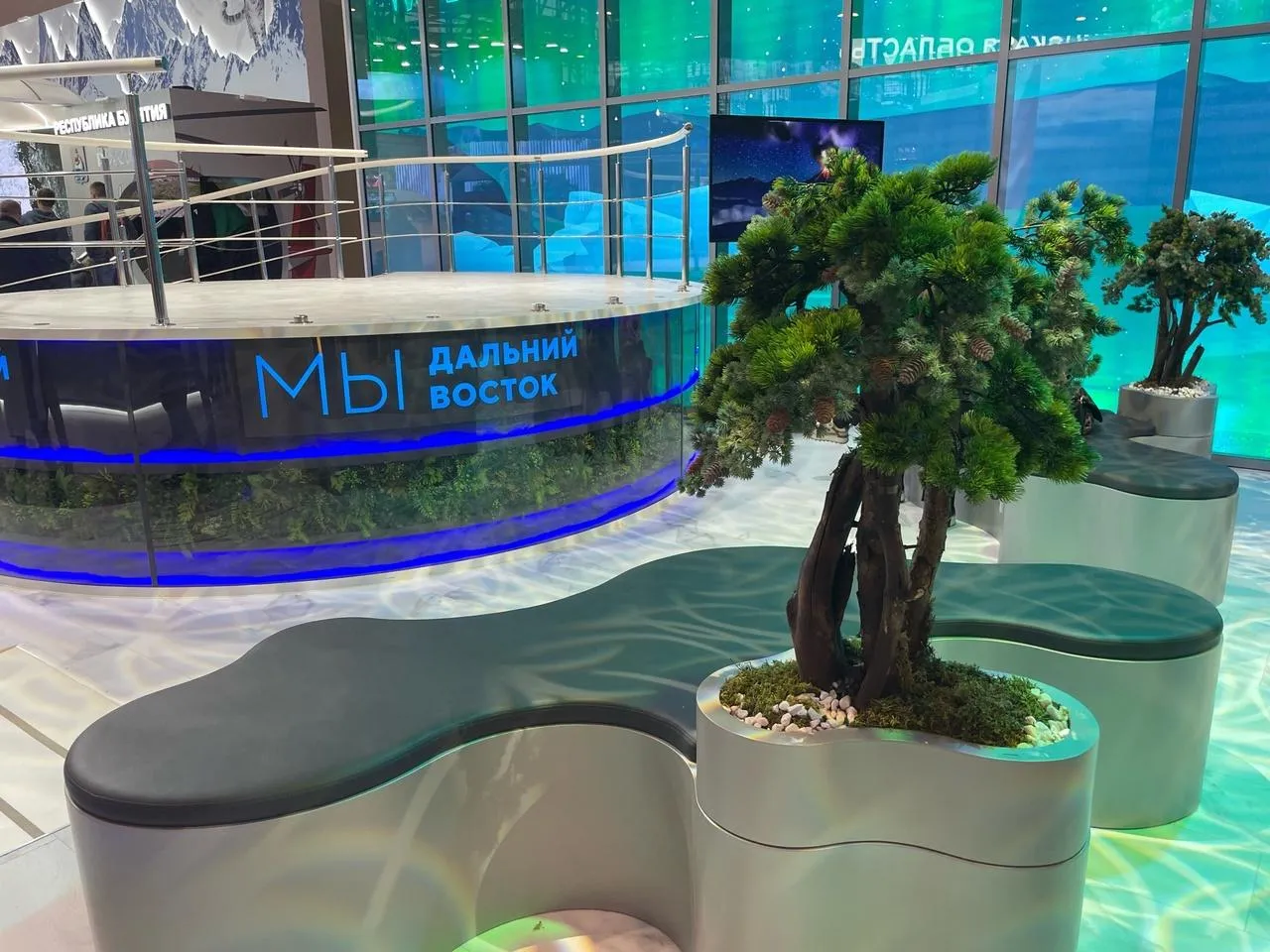 Фото: Эмилия Асташина