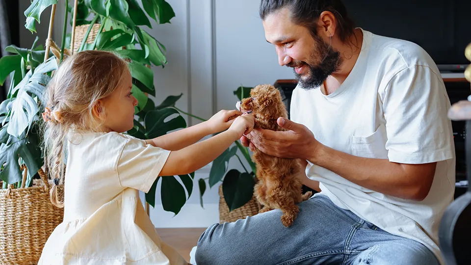 Фото: istockphoto.com