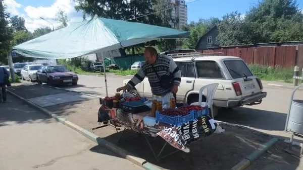 За муниципальные ярмарки возьмутся Госадмтехнадзор и Главветеринария