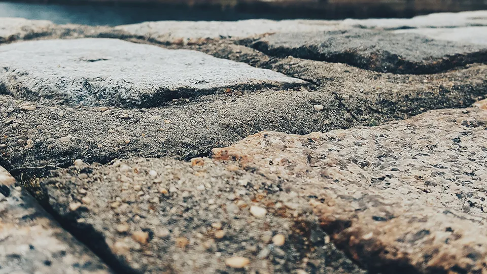 Фото: freepik.com