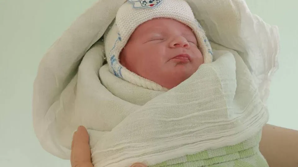 Фото: Министерство социального развития Московской области