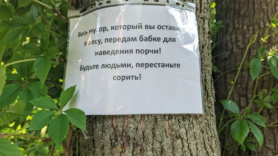 Фото: REGIONS/Алексей Селиверстов