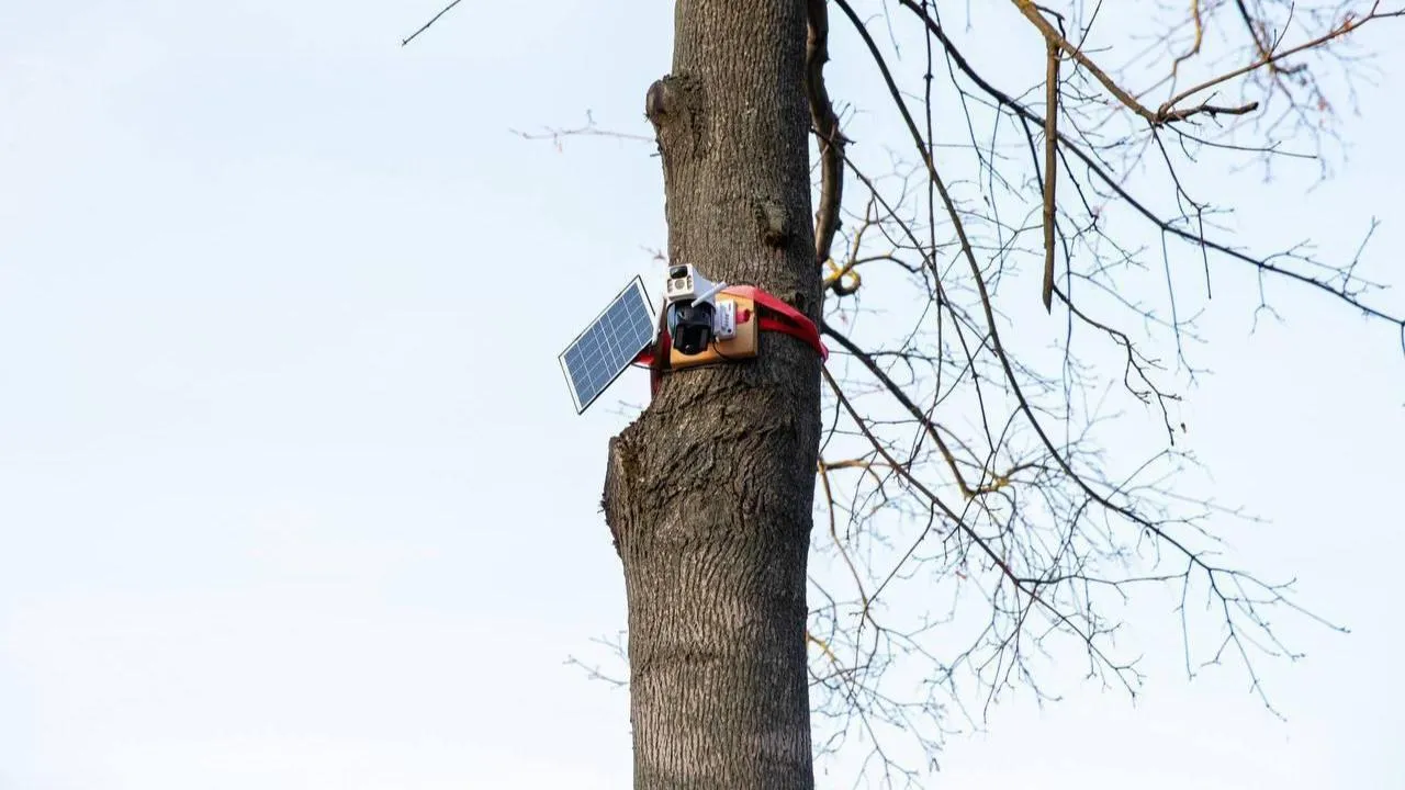 Камеры слежения с искусственным интеллектом установили в трех парках Подольска