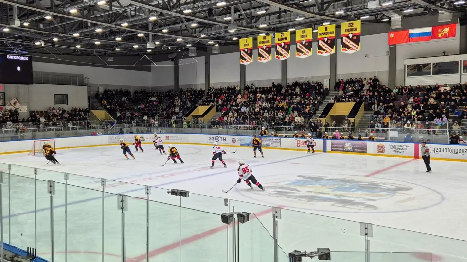 Фото: пресс-служба администрации г.о. Электросталь