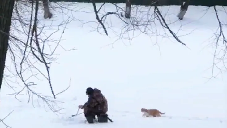 Фото: скрин с видео