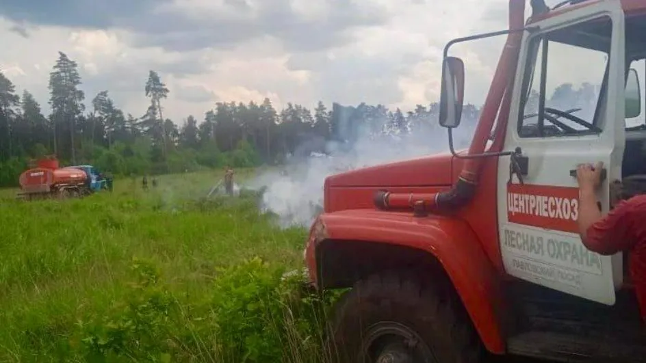 Фото: Комлесхоз МО