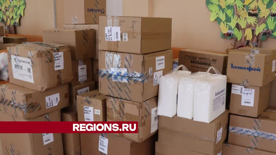 Фото: REGIONS/Василий Тремасов