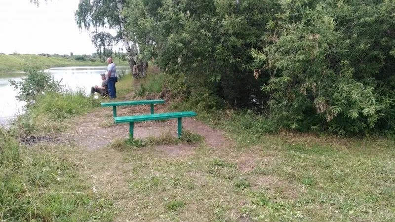 Почти 40 пляжей привели в порядок в МО с начала лета