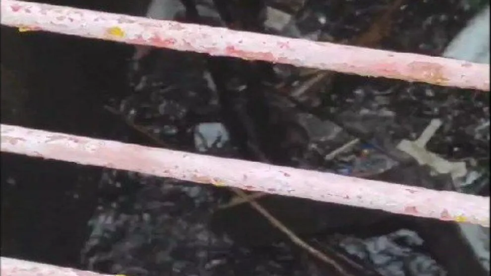 Фото: соцсети