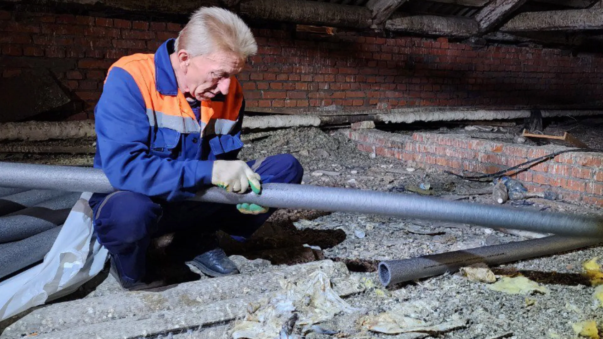 Фото: МедиаБанк Подмосковья\Анастасия Хренкова