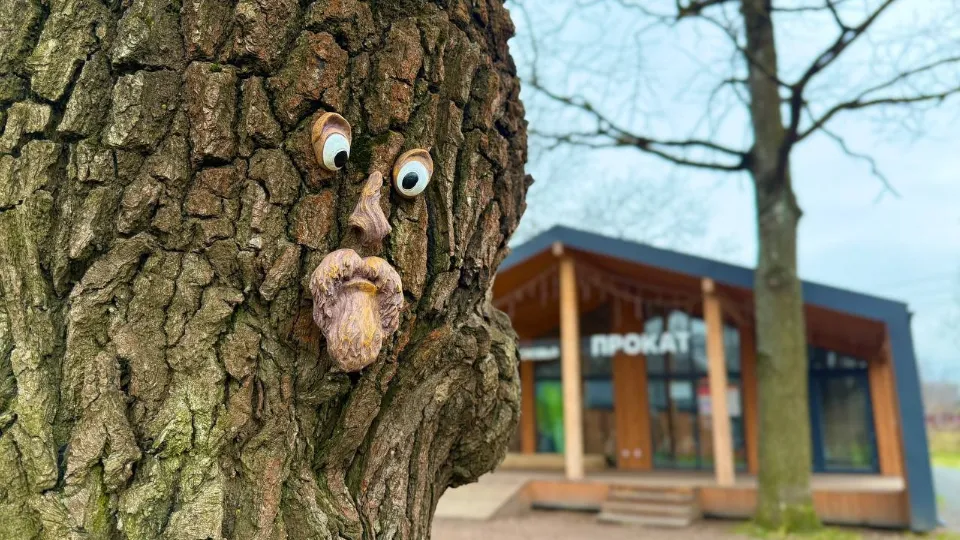 Фото: пресс-служба Фрязинского лесопарка