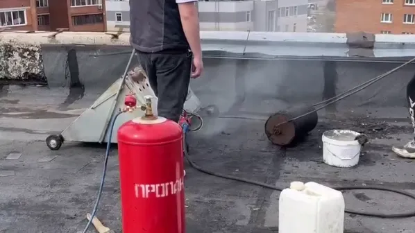 Фото: t.me/PressaSP