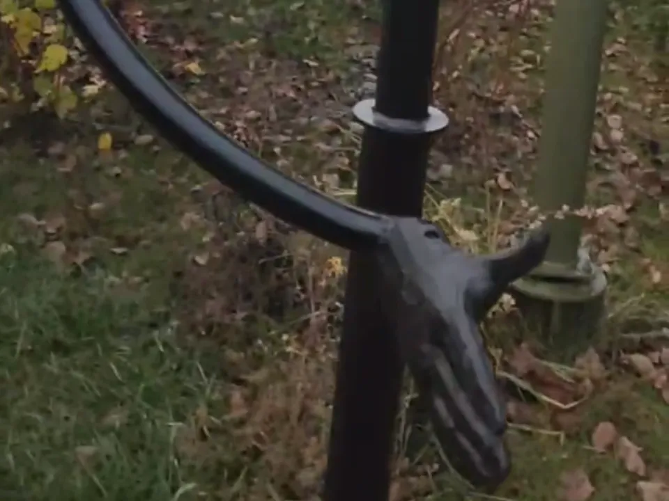 Фото: личный архив Ольги Черкашиной