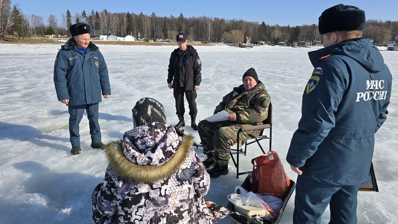 REGIONS/Яна Шаливская