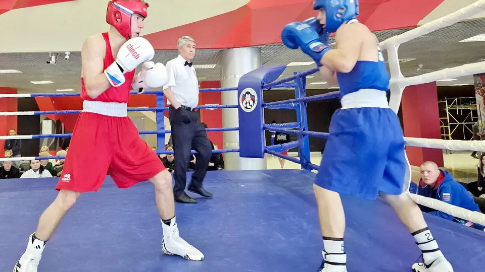 Фото: МедиаБанк Подмосковья/Виктория Фортуна