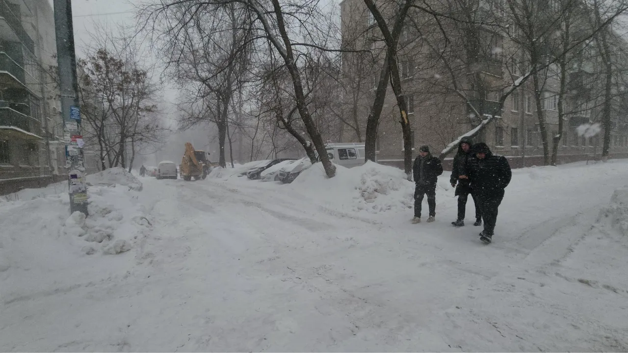 МедиаБанк Подмосковья/Наталья Лымарь