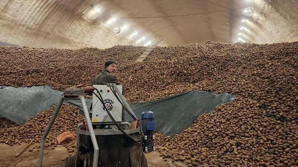 Фото: МедиаБанк Подмосковья/Юлия Скавронова