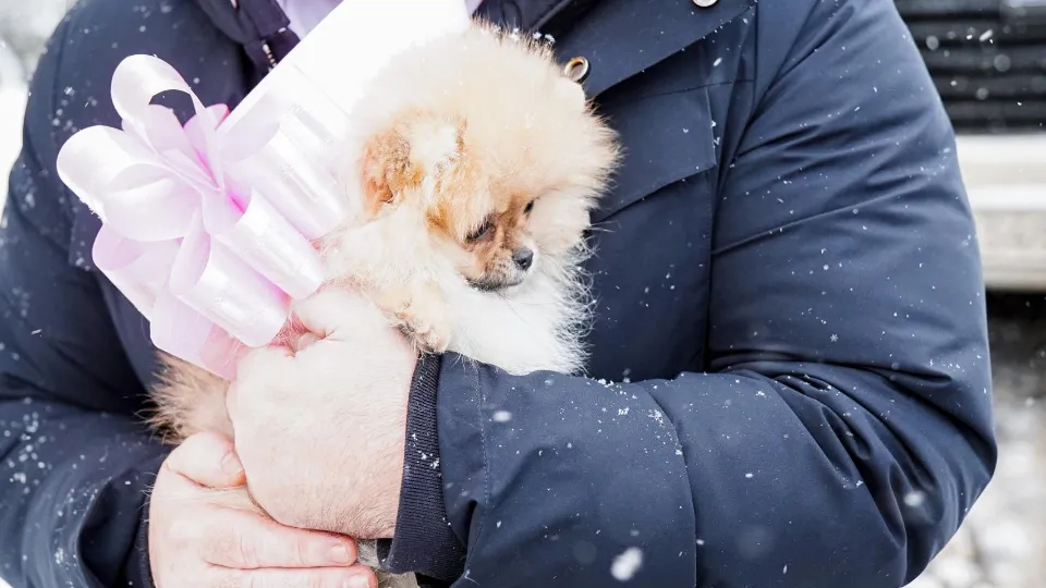 Фото: пресс-служба администрации м.о. Шатура