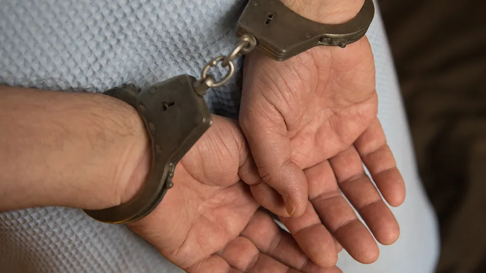 Фото: Медиаархив Подмосковья