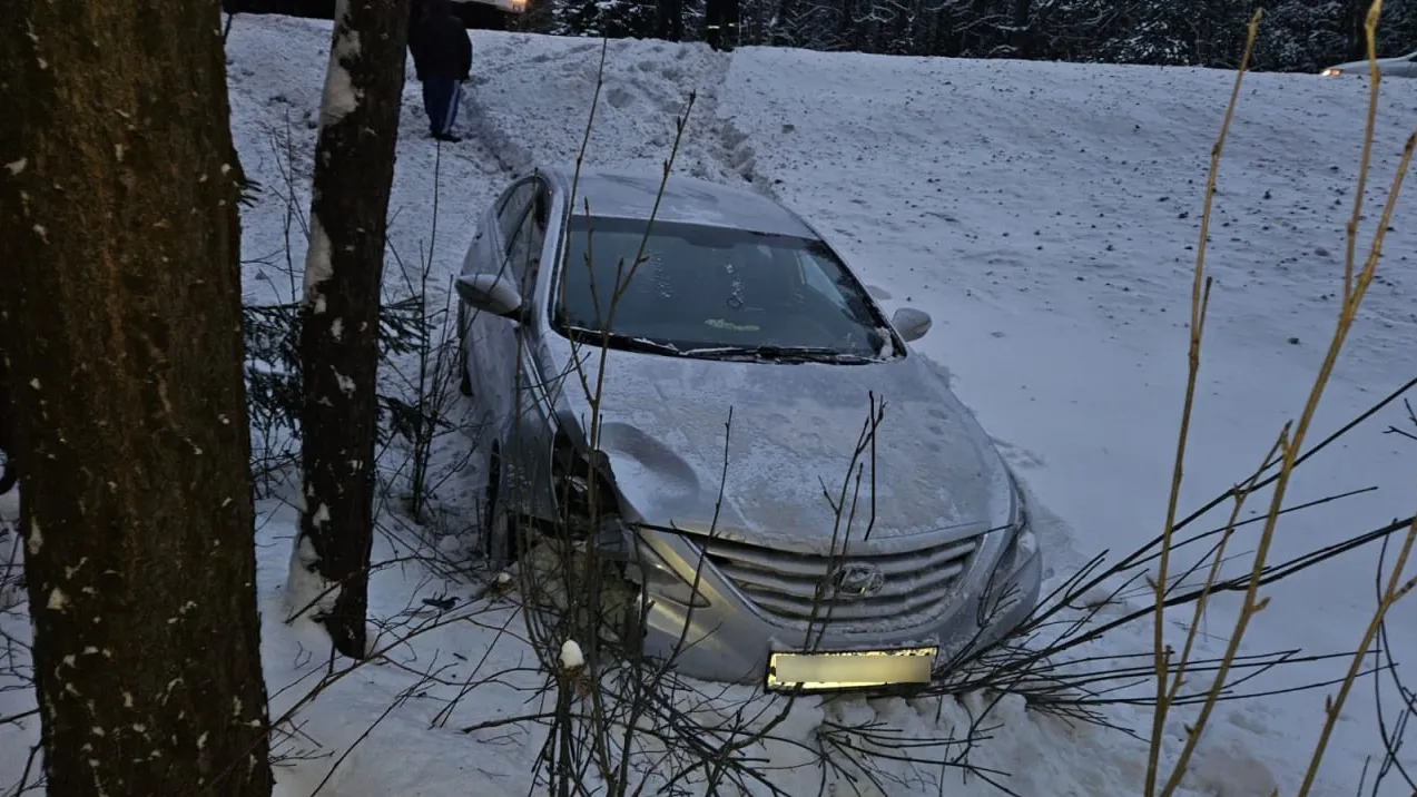 Фото: ГКУ МО «Мособлпожспас»
