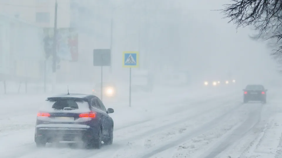 Фото: istockphoto.com/iiievgeniy