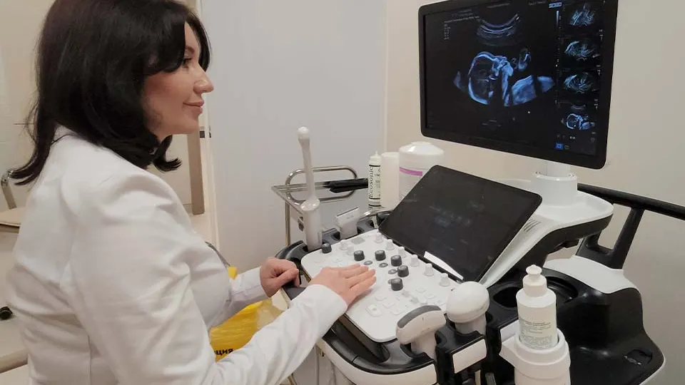 Фото: МедиаБанк Подмосковья/Артём Мишуков