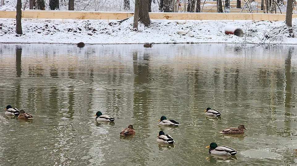 Фото: МедиаБанк Подмосковья/Никита Сморкалов