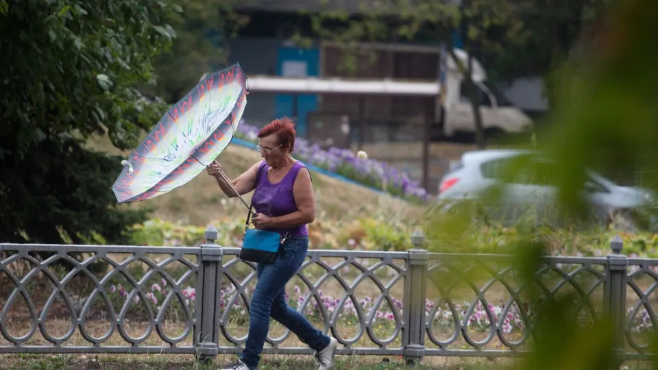 Фото: медиасток.рф