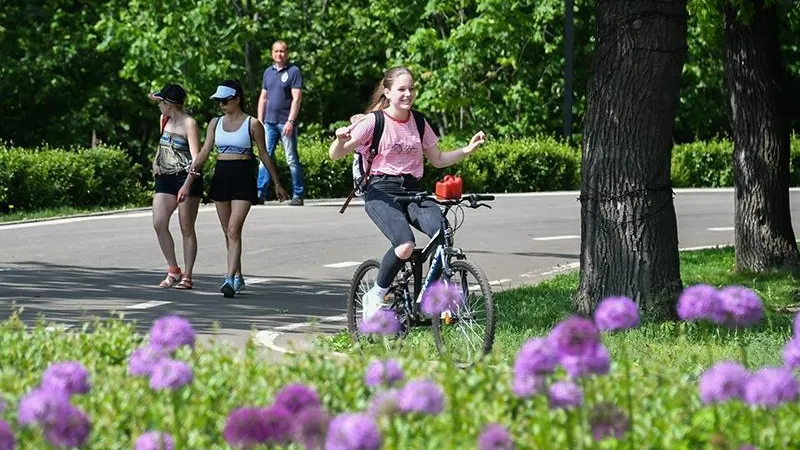 «Малиновое» лето повторится в Подмосковье спустя 40 лет