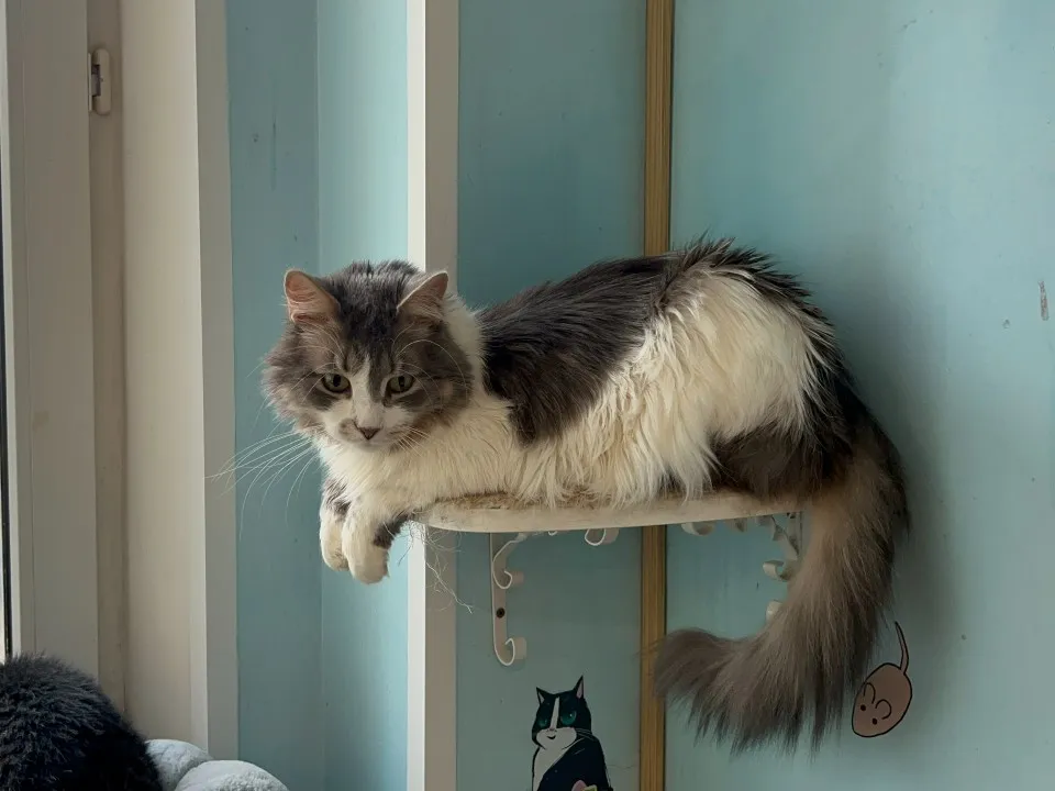 Фото: Максим Сафронов