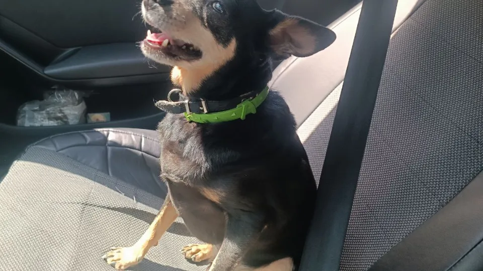 Фото: личный архив Екатерины