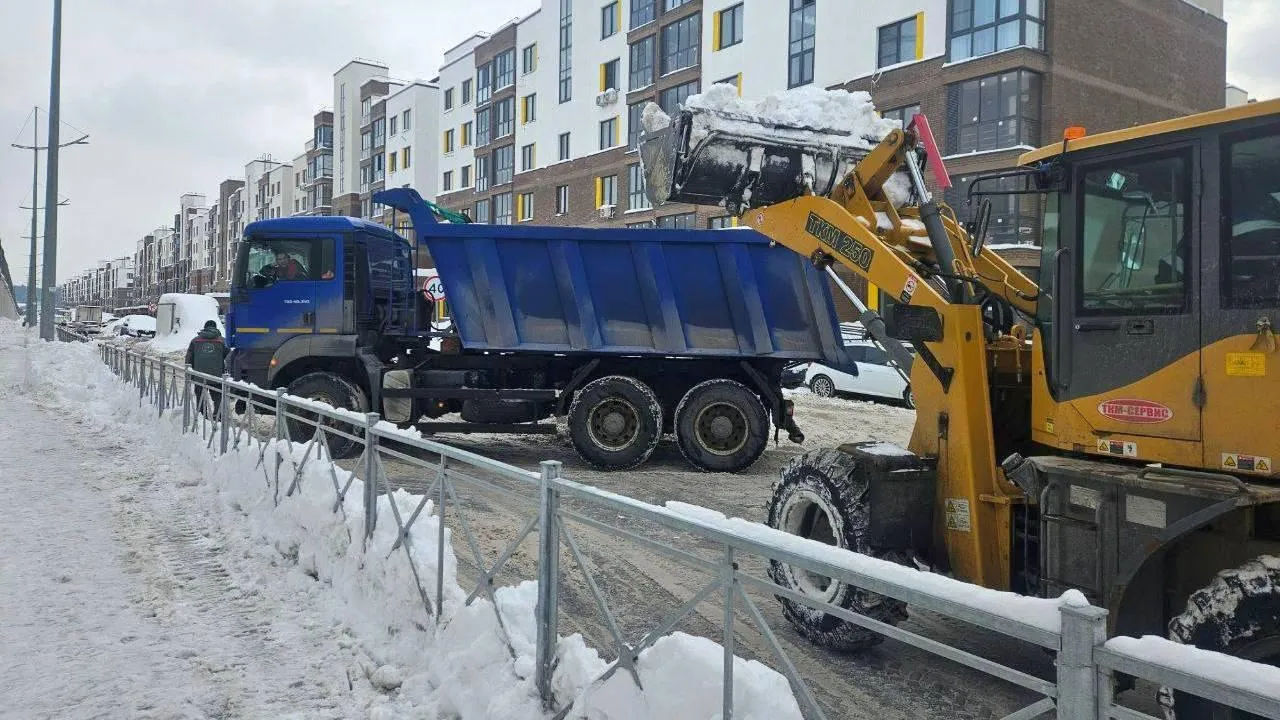 t.me/artsuvorov_live