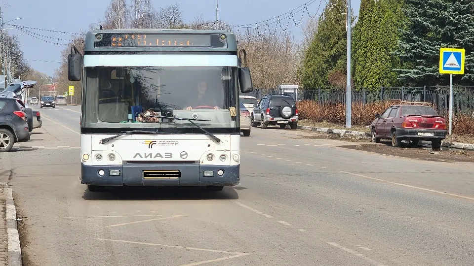 Фото: МедиаБанк Подмосковья/Хавива Фонина