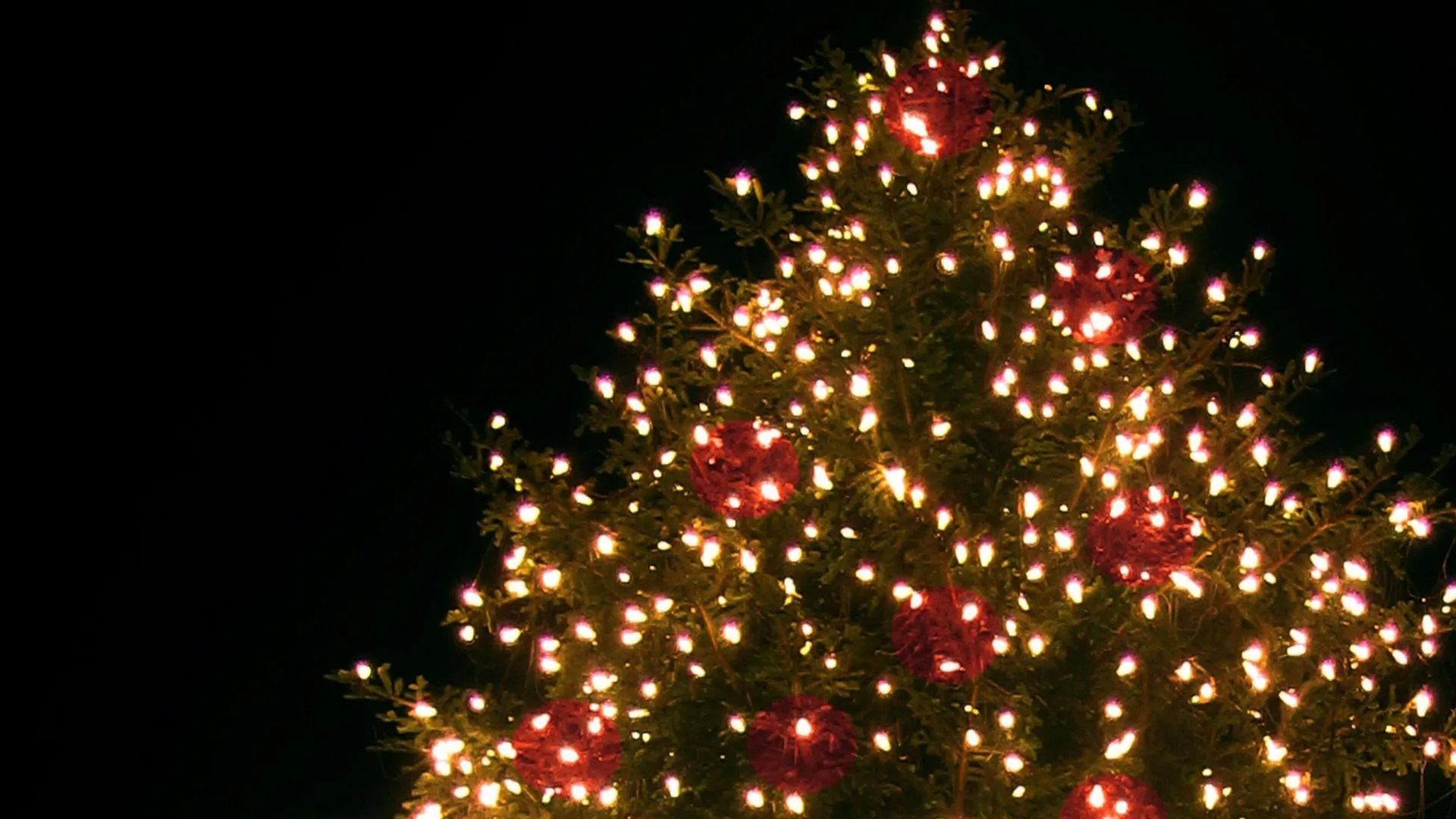 Фото: pxhere.com