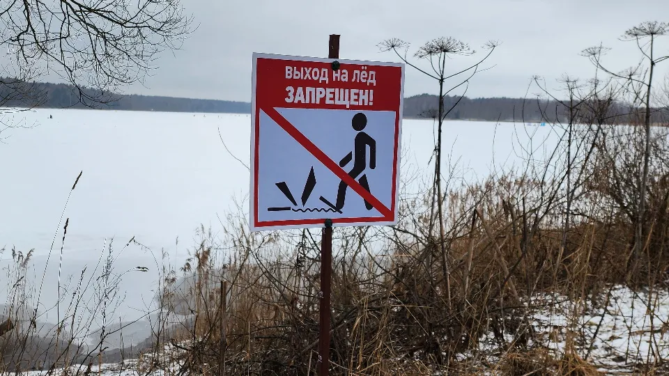 Фото: МедиаБанк Подмосковья/Екатерина Данилина