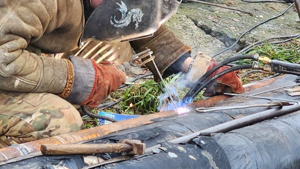 Фото: Светлана Плотникова