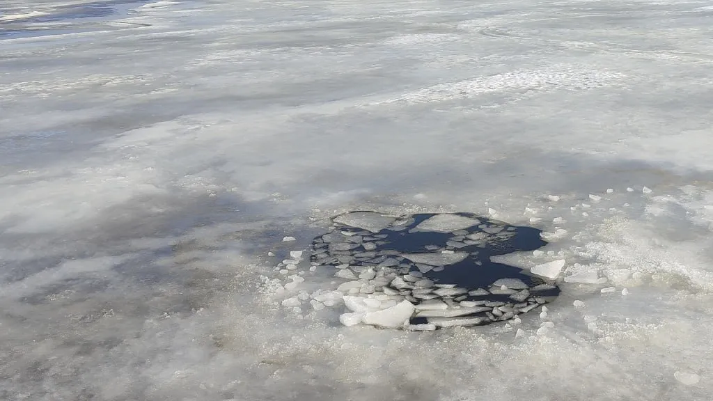 ГКУ МО «Мособлпожспас»