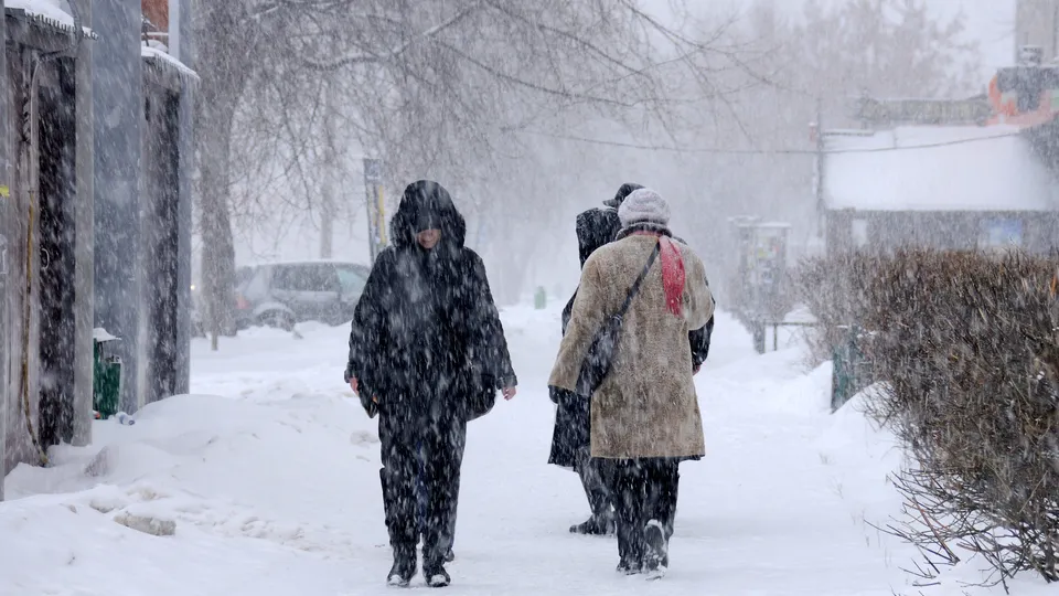 Фото: медиасток.рф