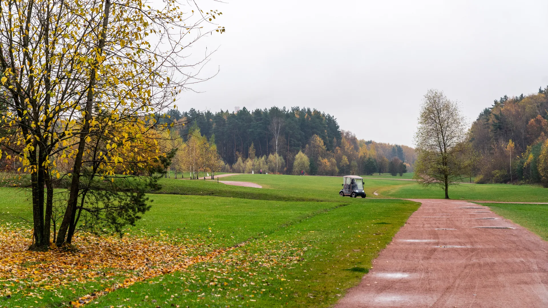 Мещерский парк осенью 2025