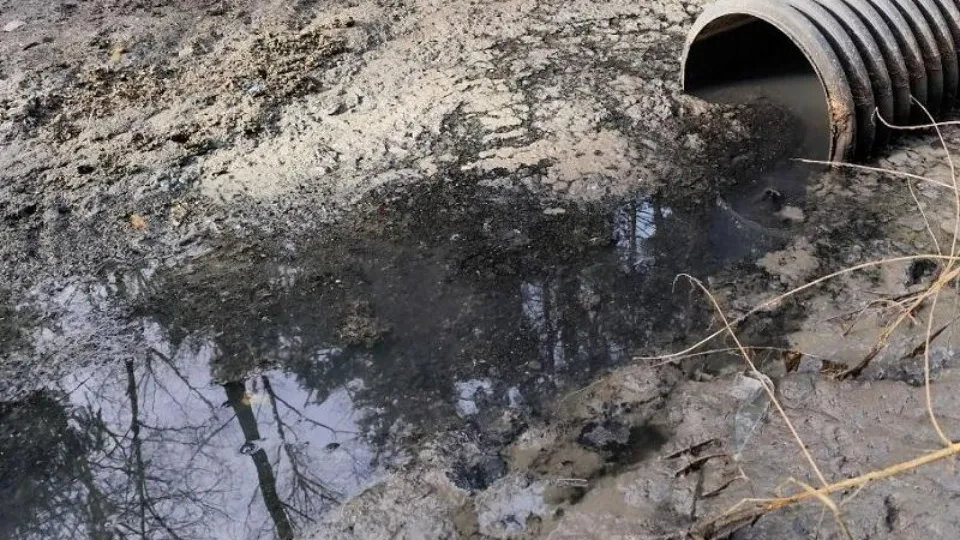 Фото: Министерство экологии и природопользования Московской области