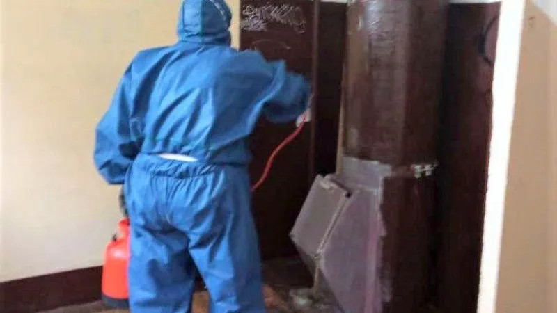 Госжилинспекция помогла жителям дома Орехова-Зуева выселить из подъездов тараканов