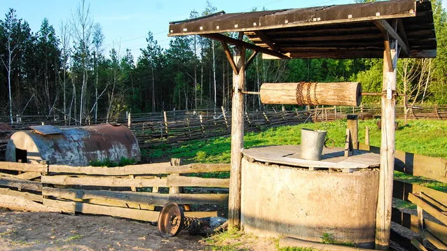 Фото: pxhere.com