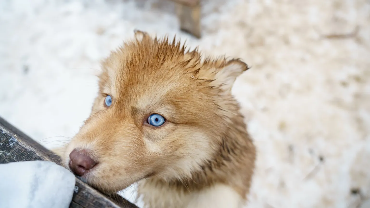 медиасток.рф